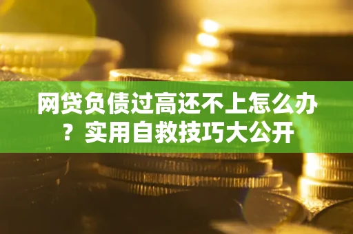 北京网贷负债过高还不上怎么办?实用自救技巧大公开 北京网贷负债过高还不上怎么办?实用自救技巧大公开